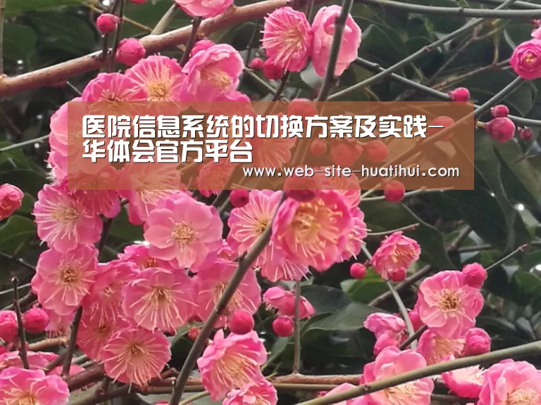 华体会官方平台