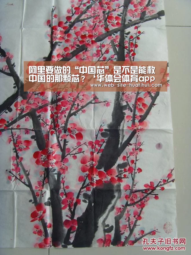 华体会体育app下载