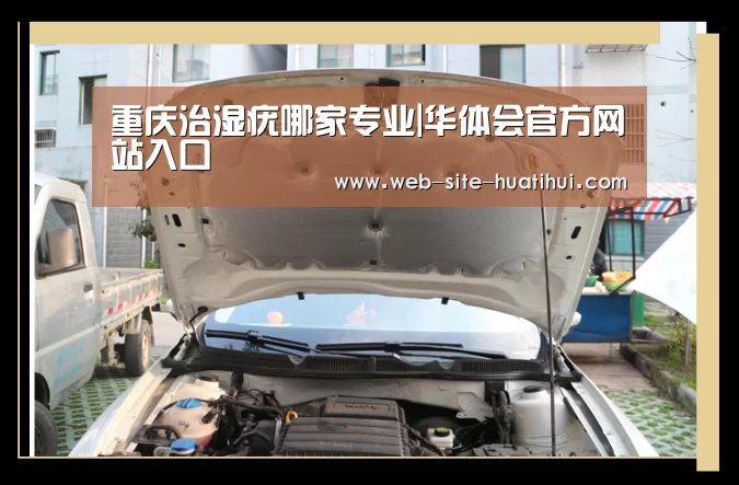 华体会官网下载